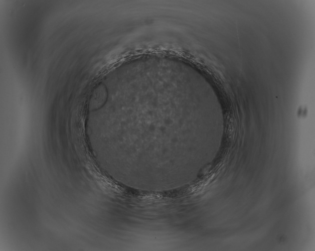 X0000091551489200708241744