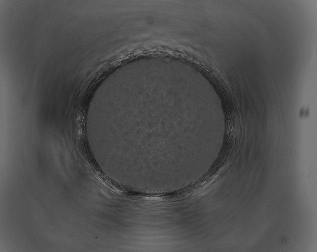 X0000091551490200708241744