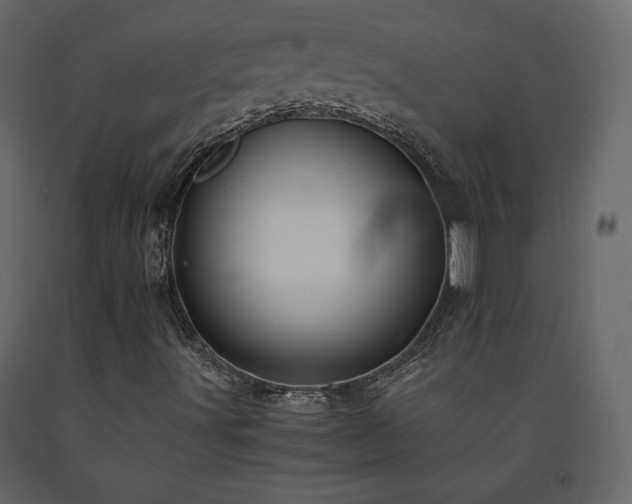 X0000091551491200708241744