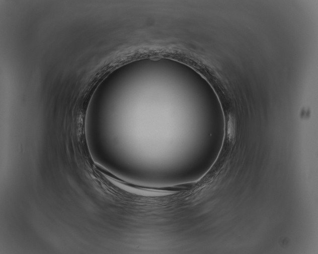 X0000091551492200708241744
