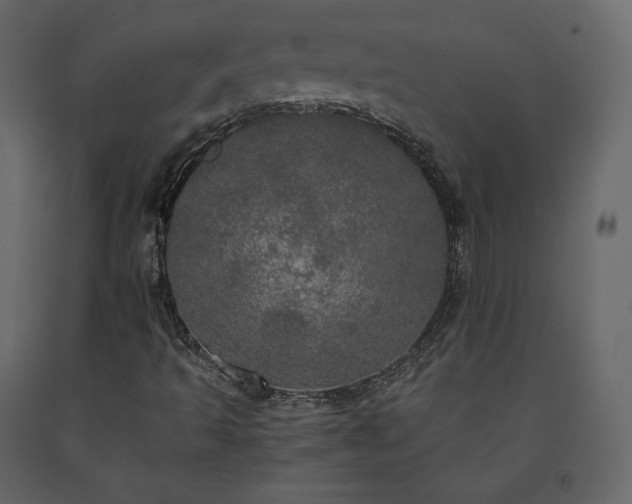 X0000091551493200708241744