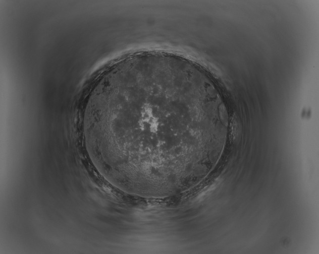 X0000091551494200708241744