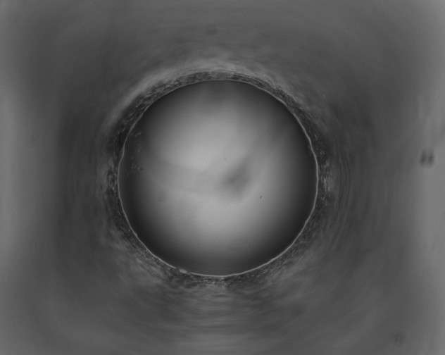 X0000091551495200708241744