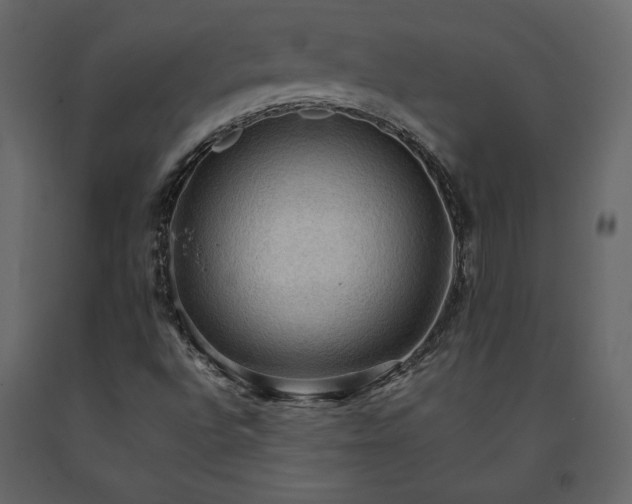 X0000091551496200708241744