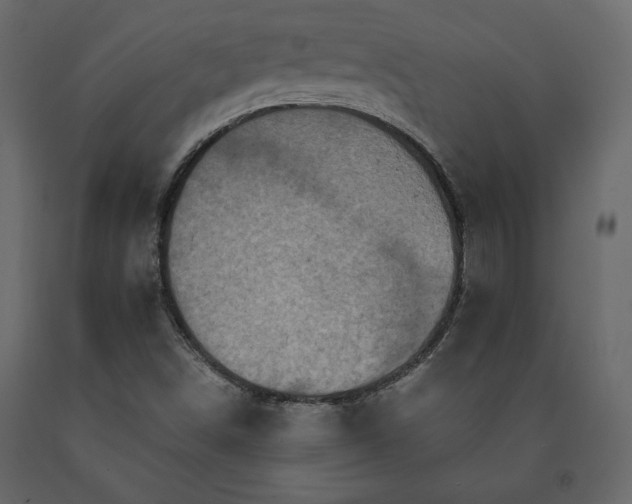 X0000091551498200708241744