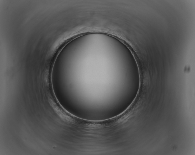 X0000091551499200708241744