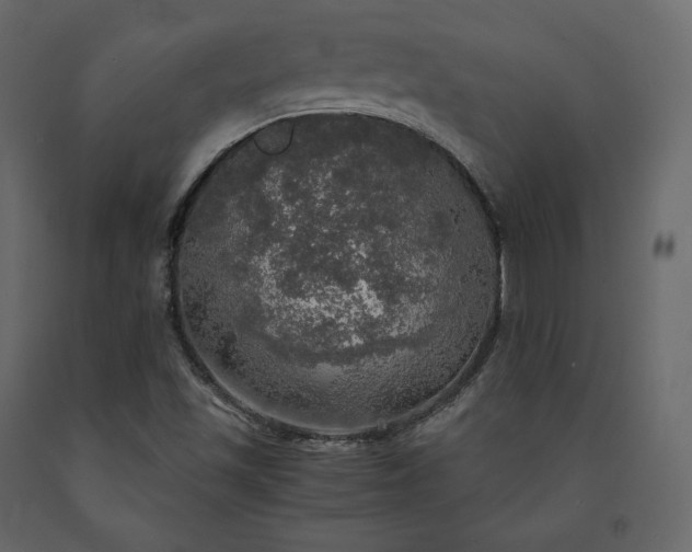 X0000091551501200708241744