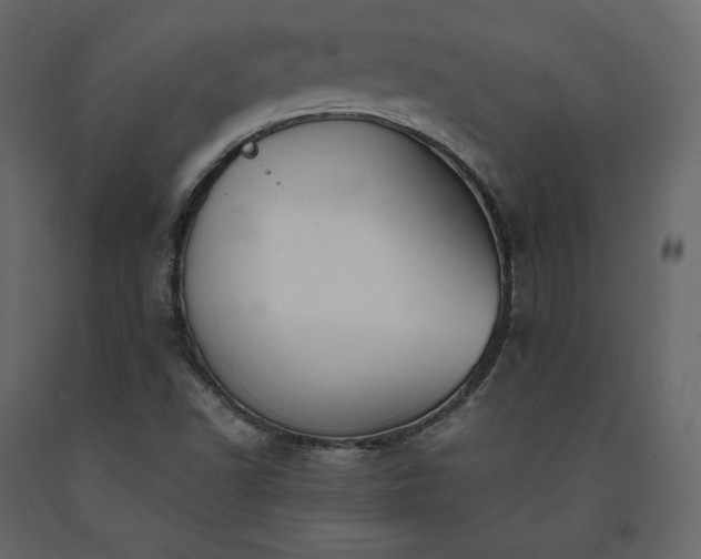 X0000091551502200708241744