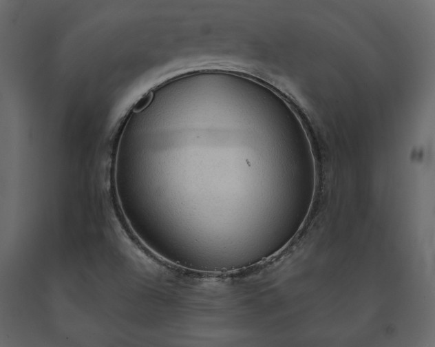X0000091551504200708241744