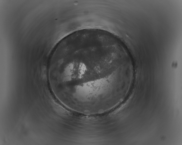 X0000091551505200708241744