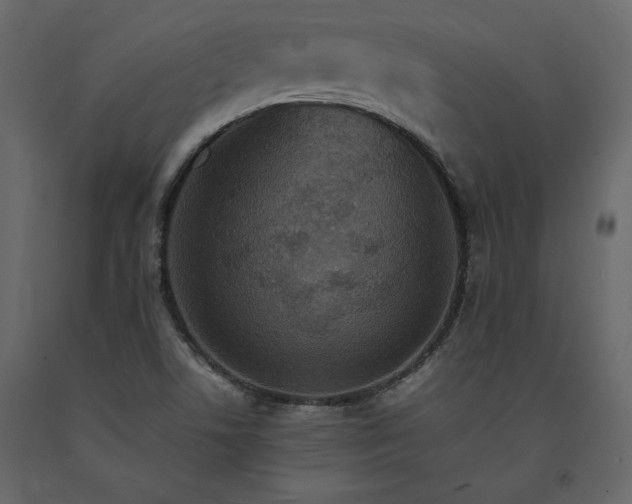 X0000091551506200708241744