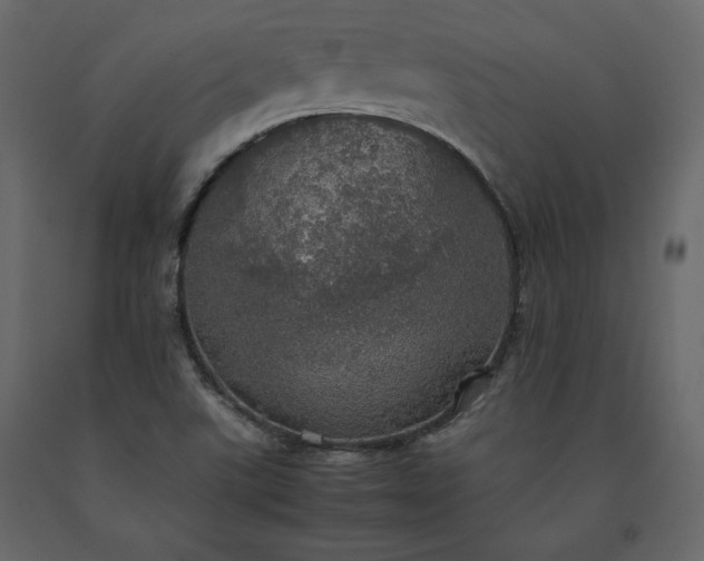 X0000091551507200708241744
