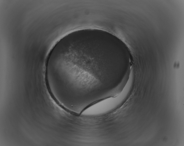 X0000091551508200708241744