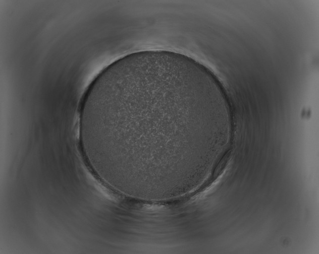X0000091551509200708241744