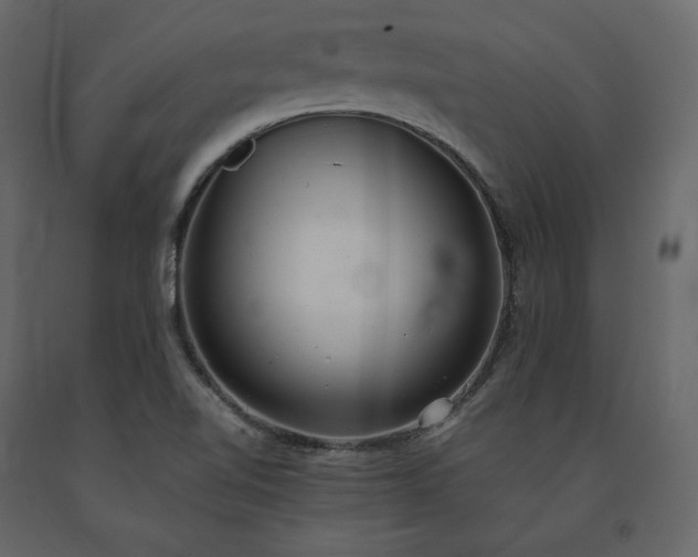 X0000091551510200708241744