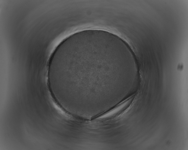 X0000091551511200708241744