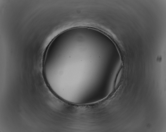 X0000091551512200708241744