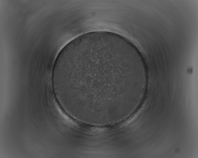 X0000091551513200708241744