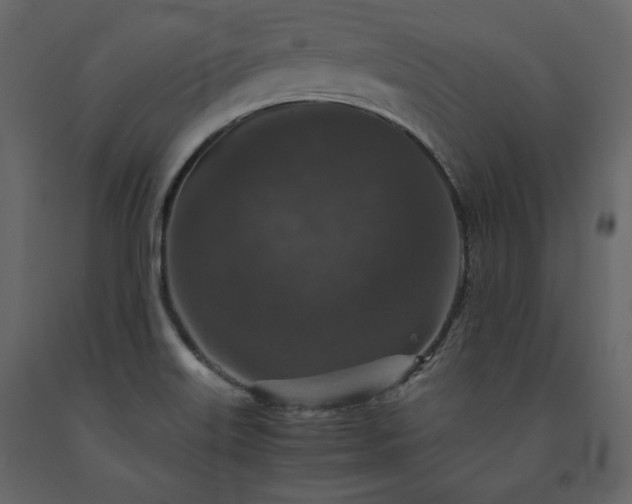 X0000091551515200708241744