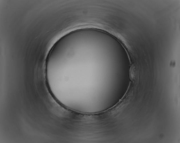 X0000091551516200708241744