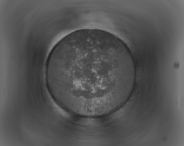 X0000091551517200708241744