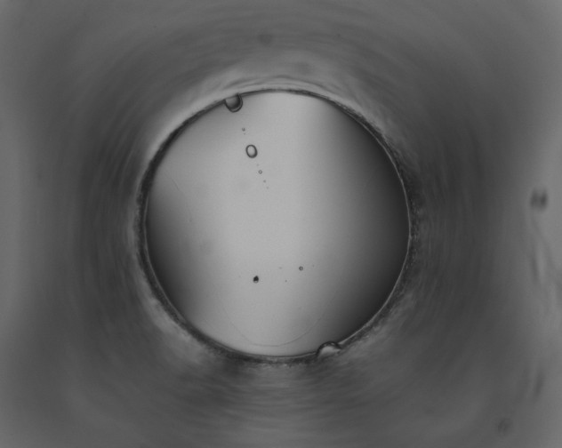 X0000091551518200708241744