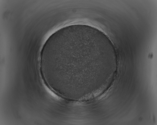 X0000091551519200708241744