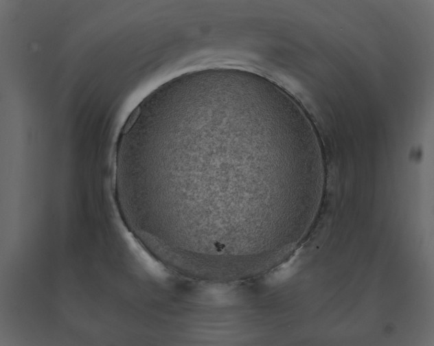 X0000091551520200708241744