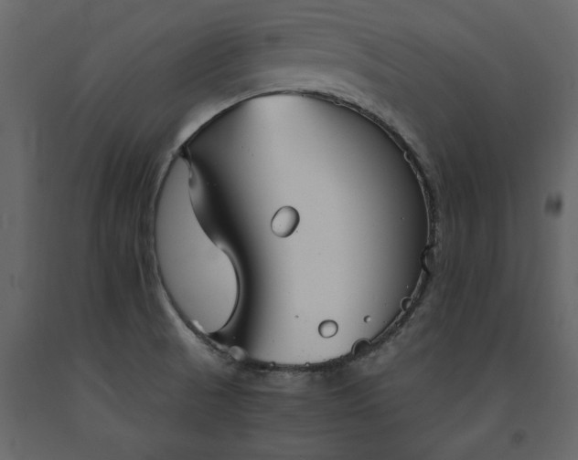X0000091551521200708241744
