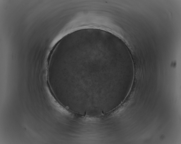 X0000091551522200708241744