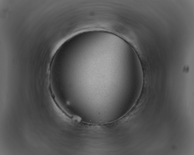 X0000091551524200708241744