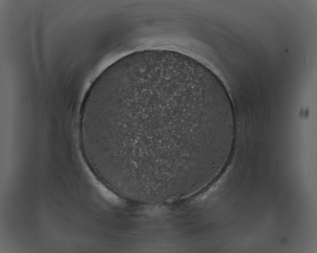X0000091551525200708241744