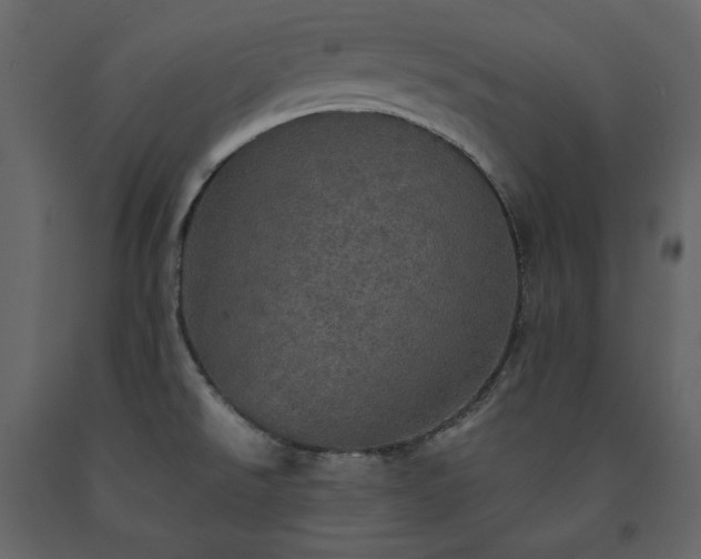 X0000091551526200708241744