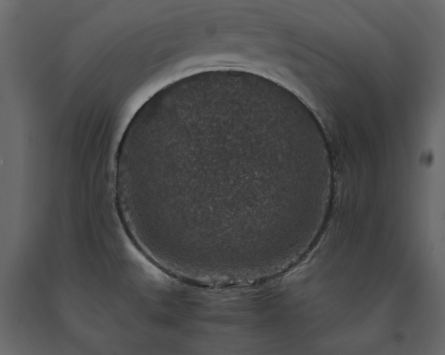 X0000091551527200708241744