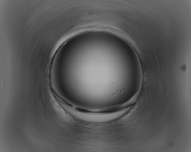 X0000091551530200708241744