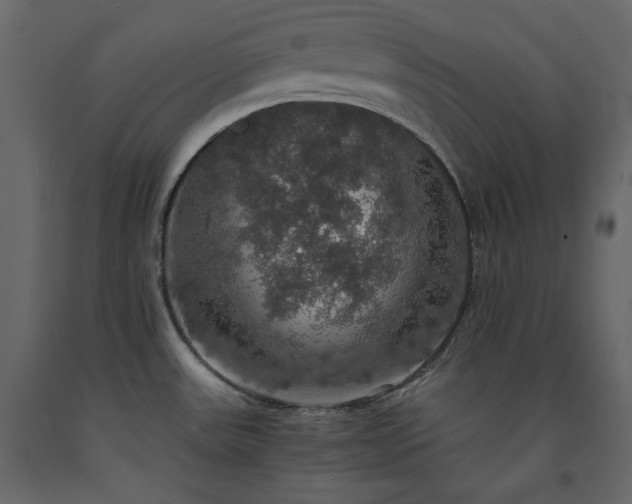 X0000091551531200708241744