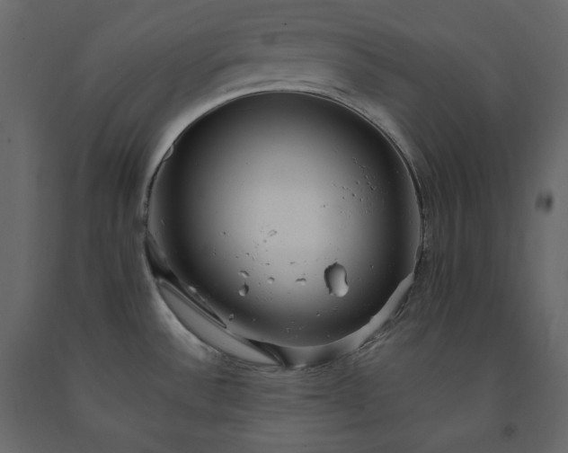 X0000091551532200708241744