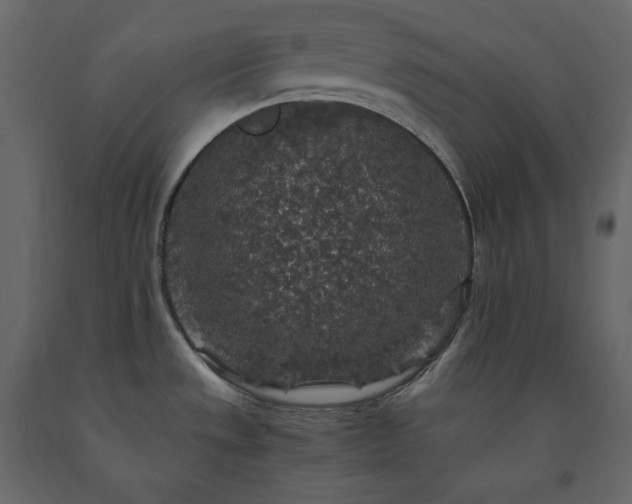 X0000091551533200708241744