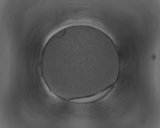 X0000091551534200708241744