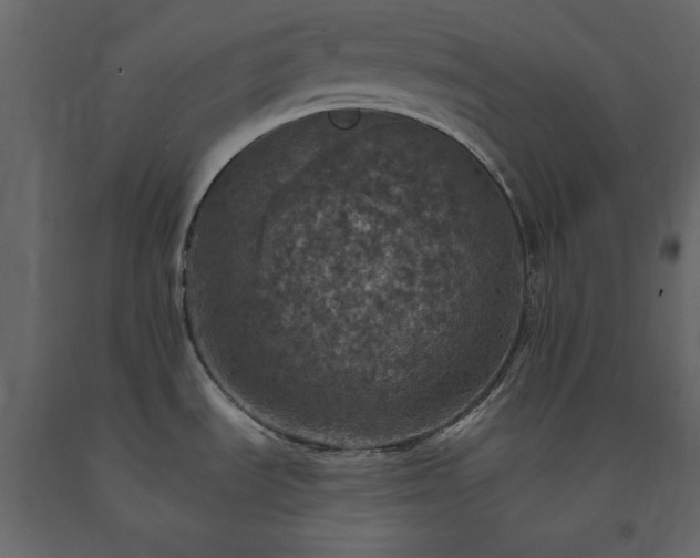 X0000091551535200708241744