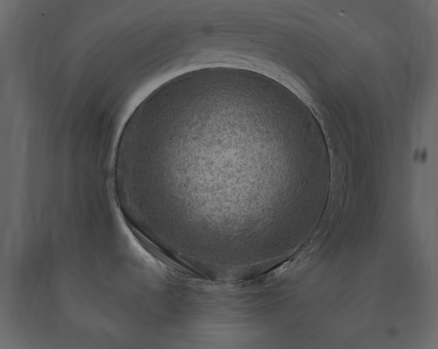 X0000091551536200708241744