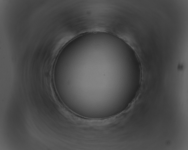 X0000091550001200708311404