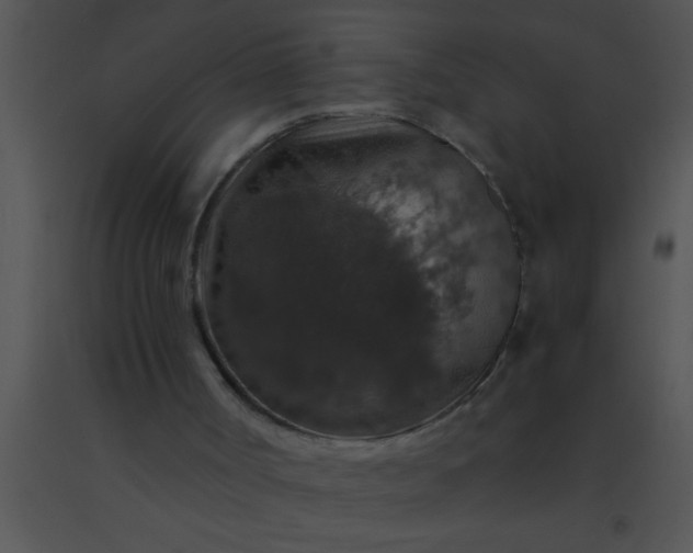 X0000091550002200708311404
