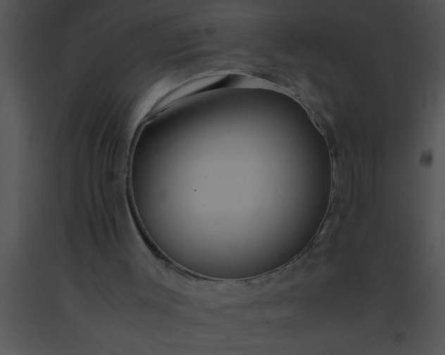 X0000091550003200708311404