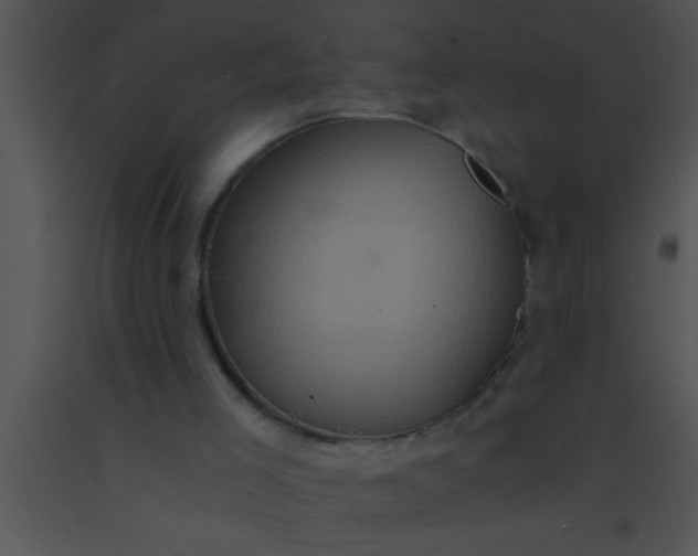 X0000091550005200708311404