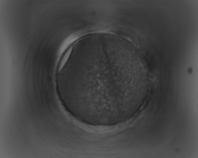 X0000091550006200708311404