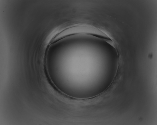 X0000091550007200708311404