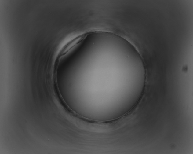 X0000091550008200708311404