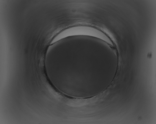 X0000091550009200708311404