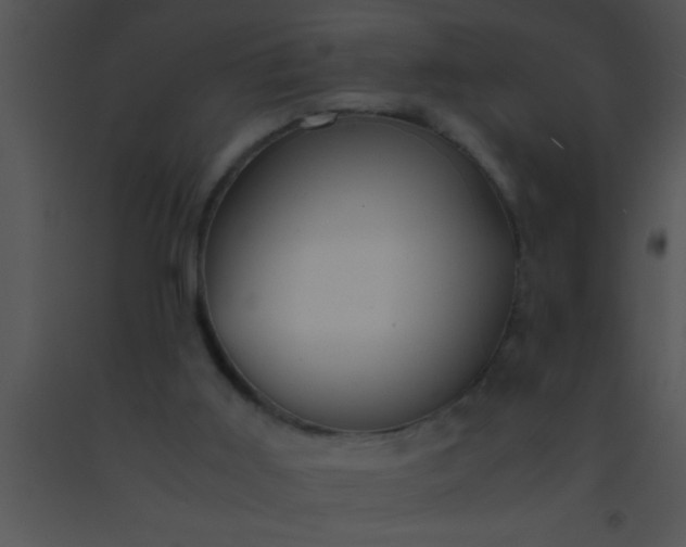 X0000091550011200708311404